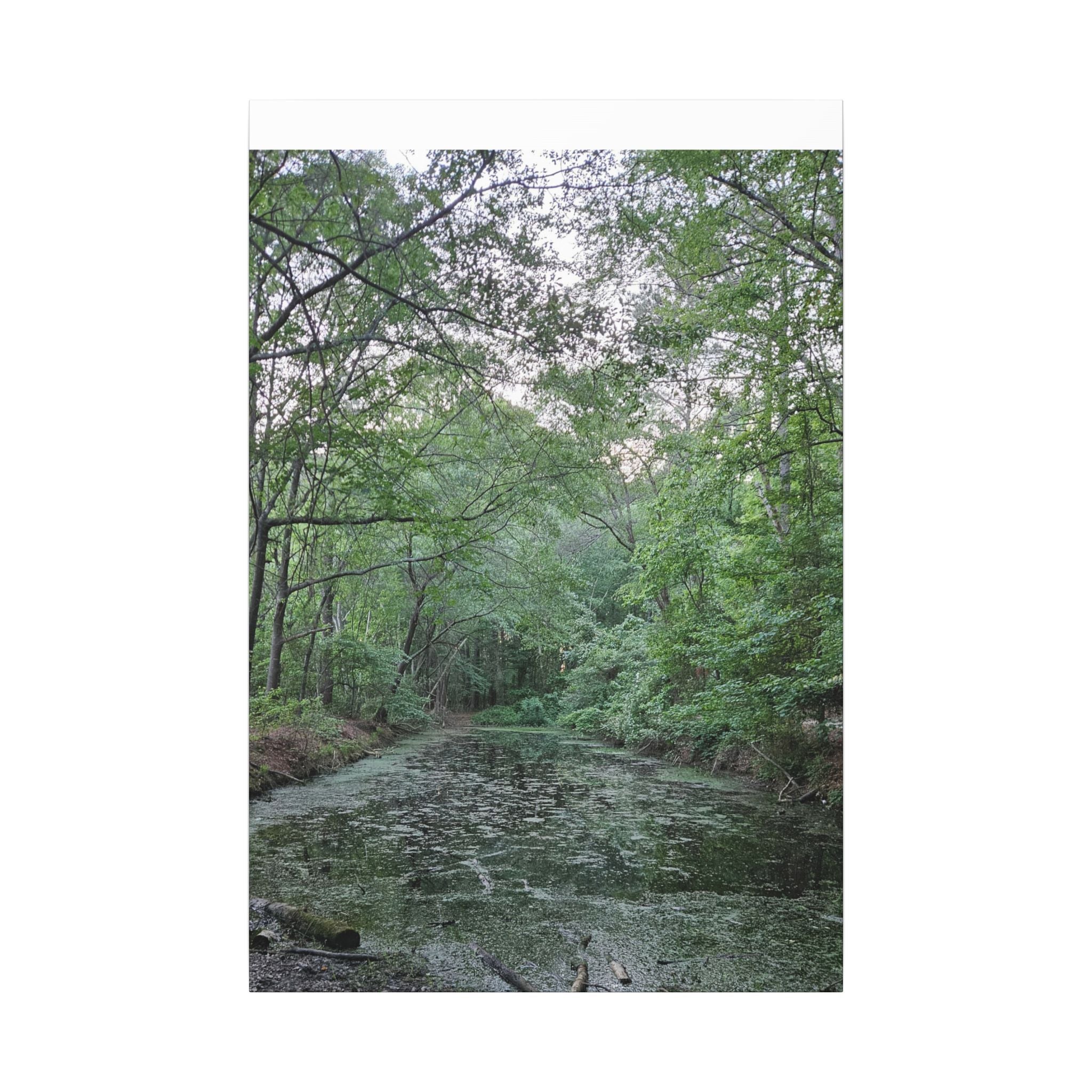 Mossy Pond Canvas Matte Stretched Wall Art