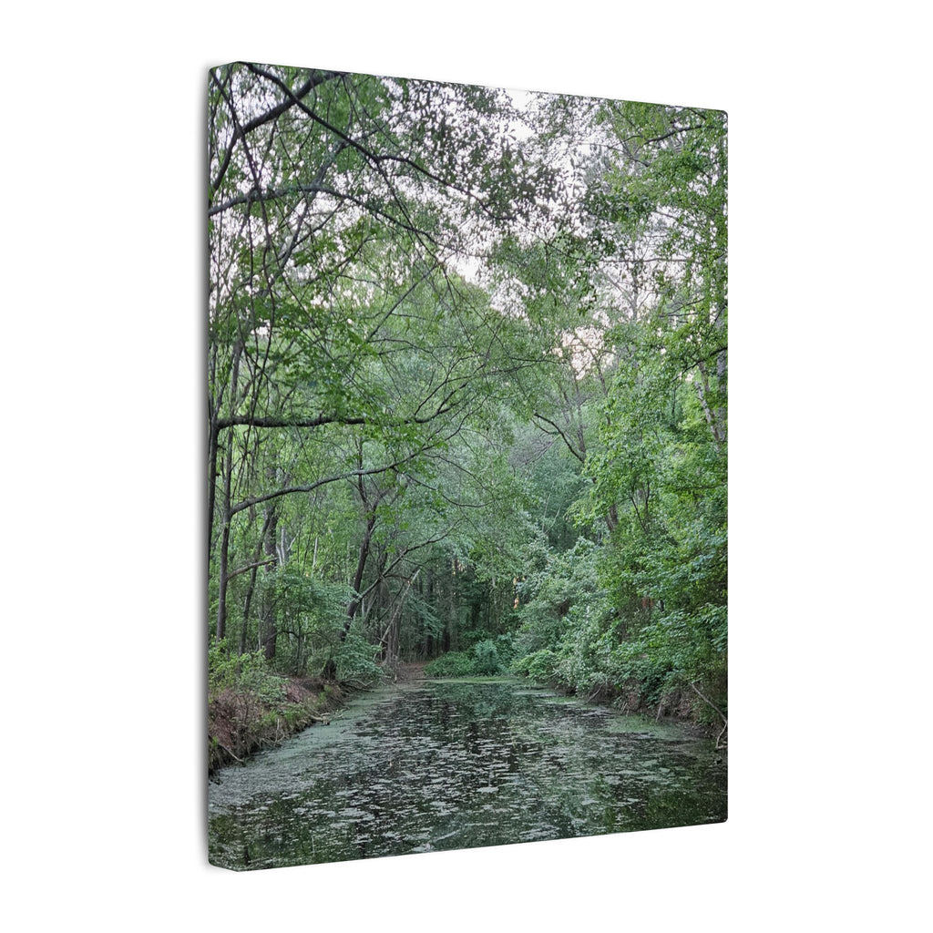 Mossy Pond Canvas Matte Stretched Wall Art
