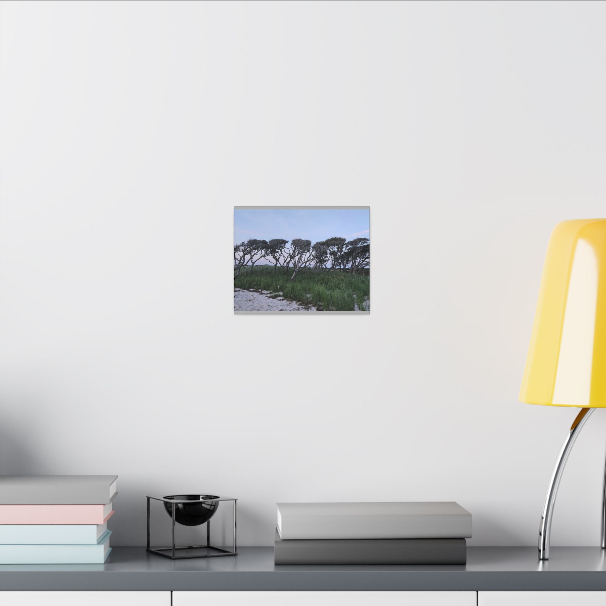 Coastal Windblown Trees Canvas