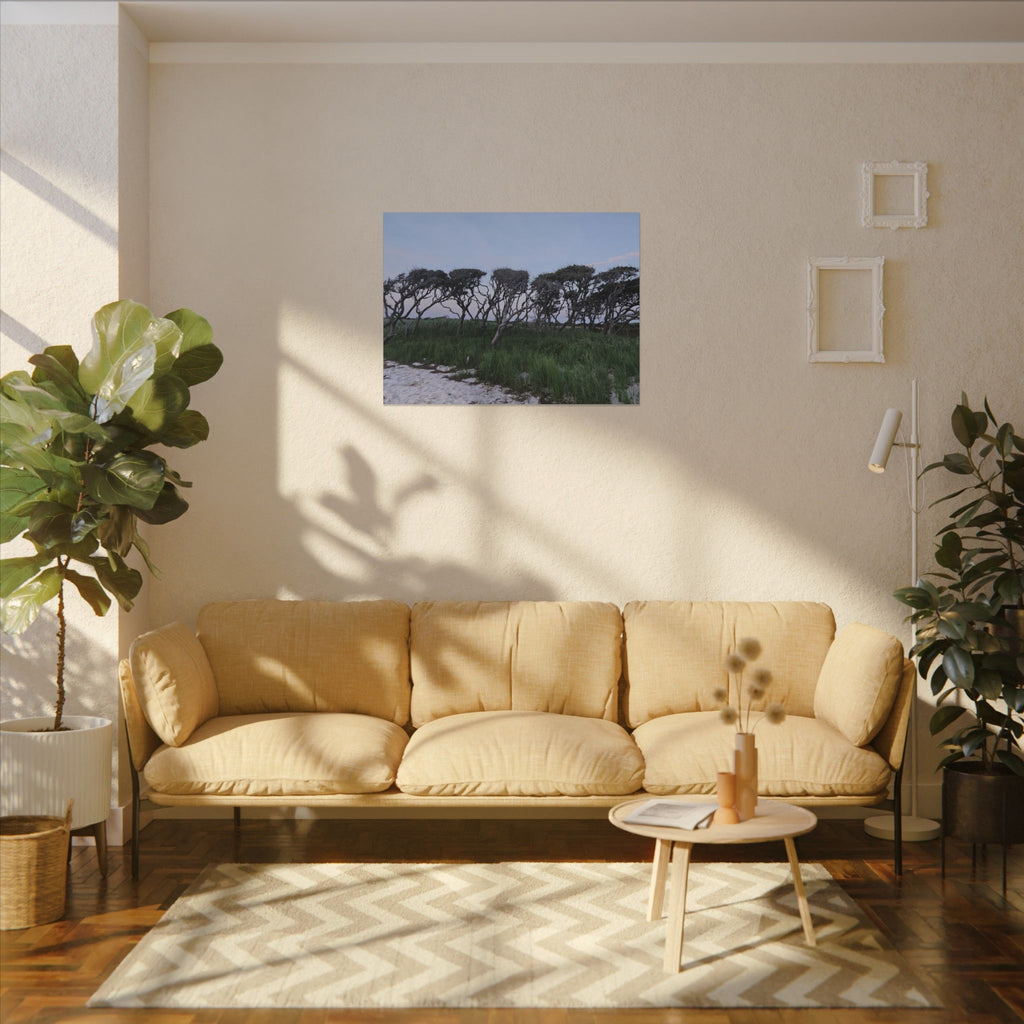 Coastal Windblown Trees Canvas