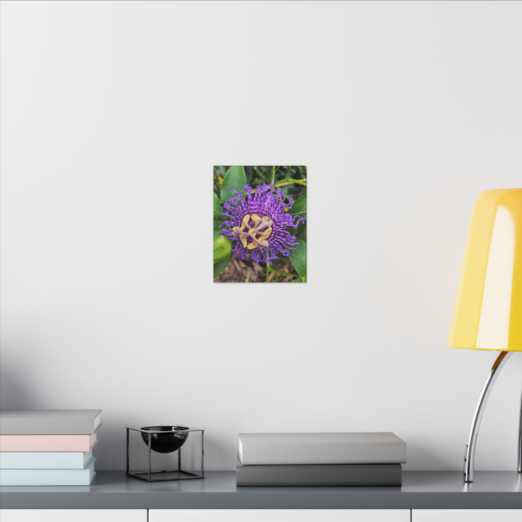 Purple Passionflower Botanical Canvas