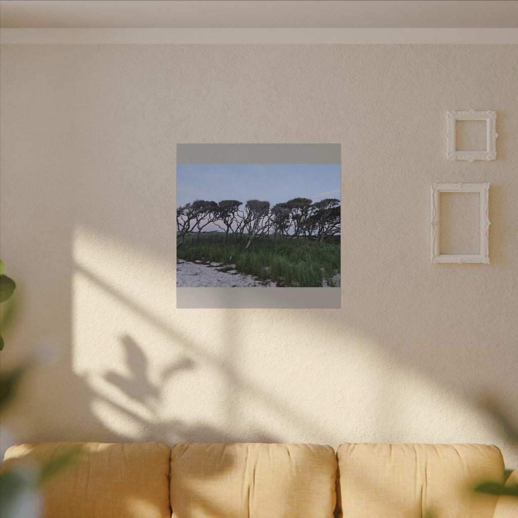 Coastal Windblown Trees Canvas