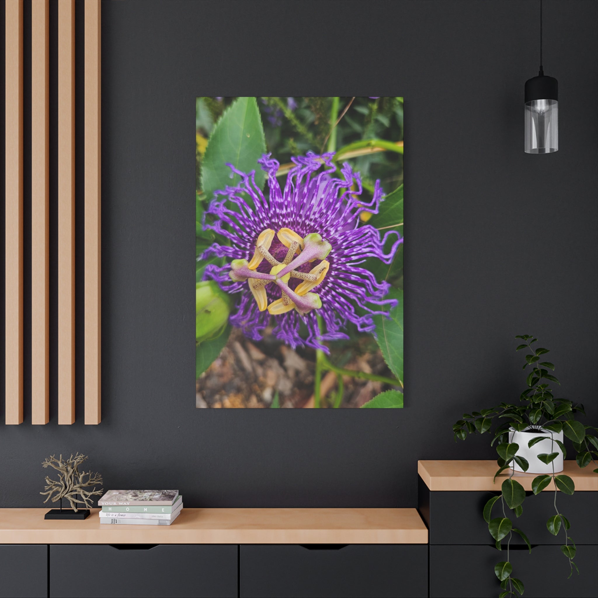 Purple Passionflower Close-Up Matte Canvas Print (Stretched)
