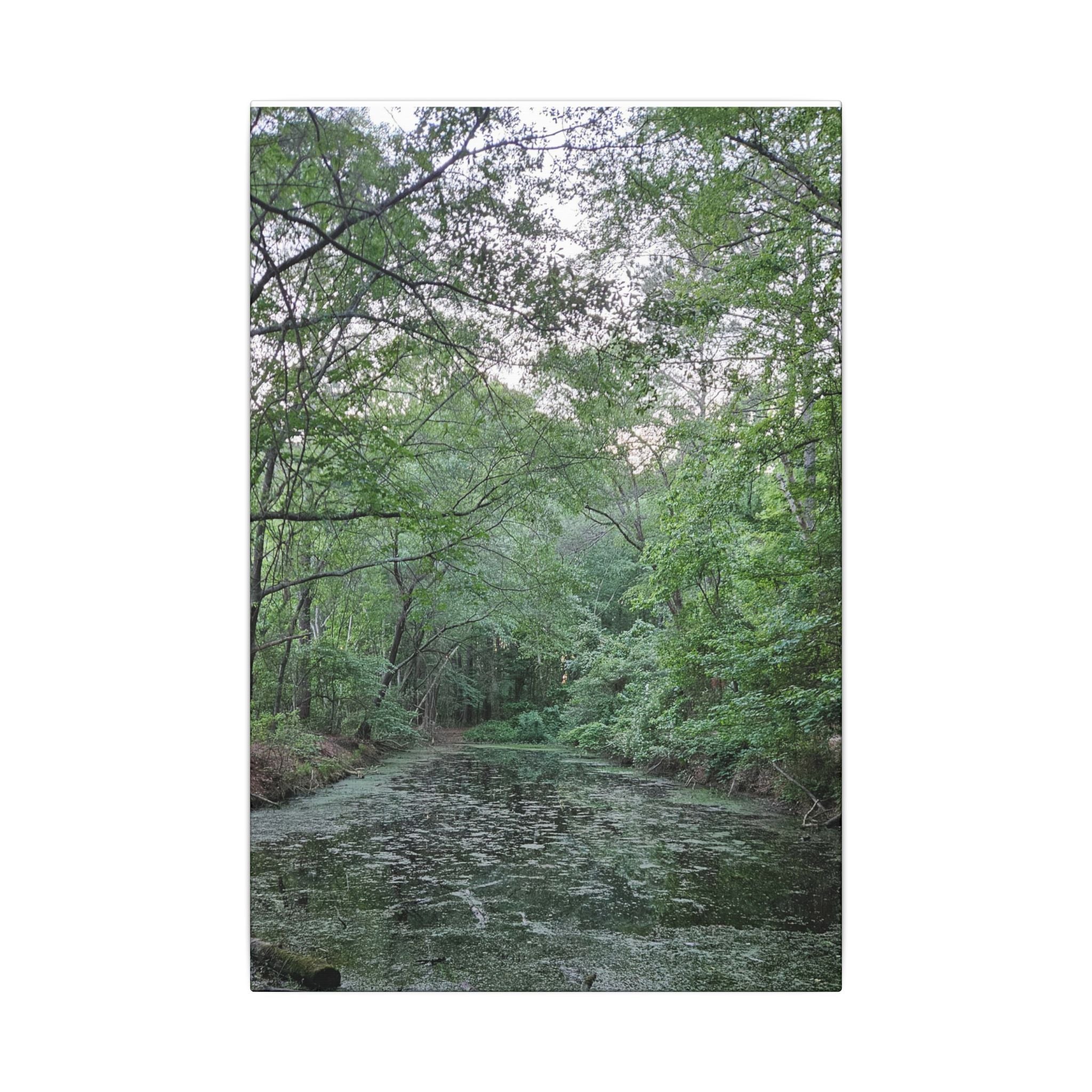 Mossy Pond Canvas Matte Stretched Wall Art