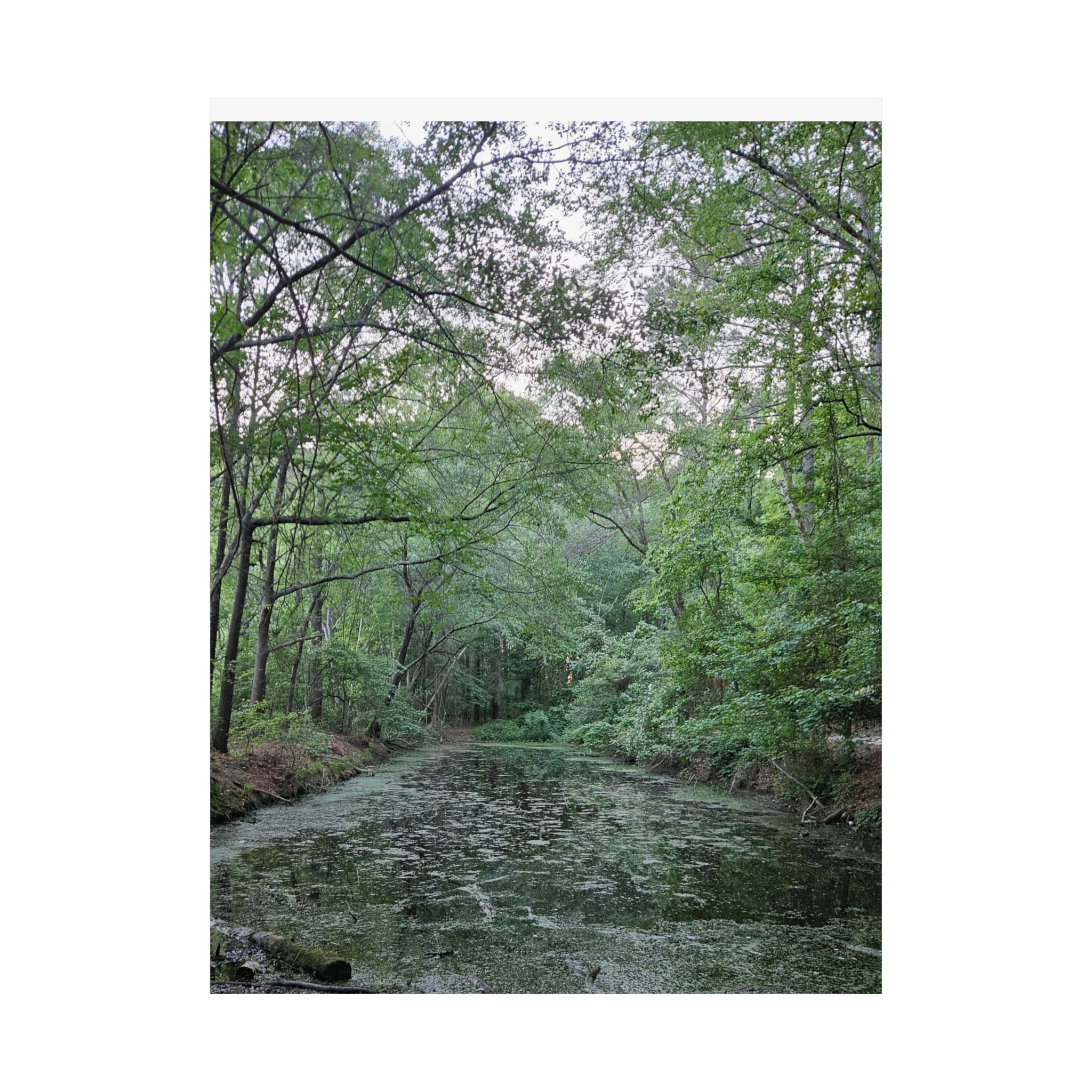Mossy Pond Matte Poster | Vertical Nature Wall Art