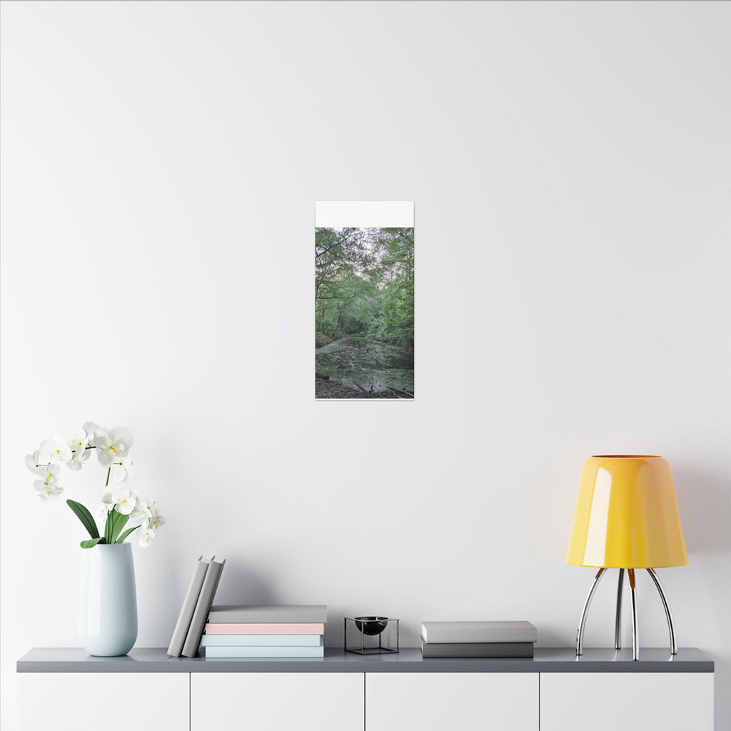 Mossy Pond Canvas Matte Stretched Wall Art