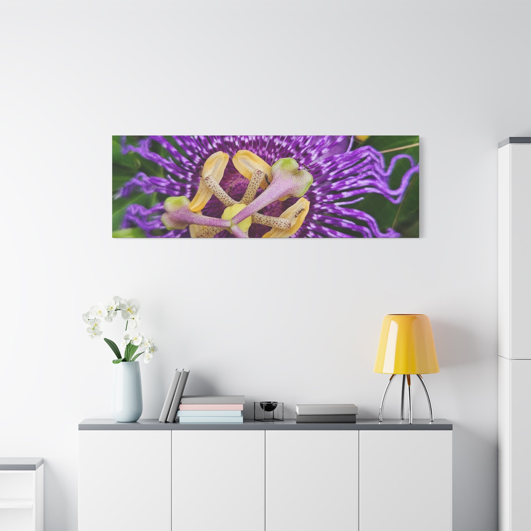 Purple Passionflower Close-Up Matte Canvas Print (Stretched)