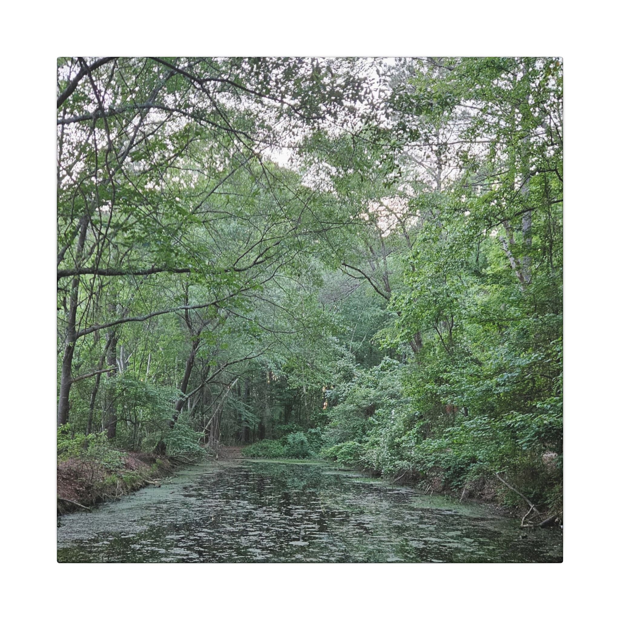 Mossy Pond Canvas Matte Stretched Wall Art