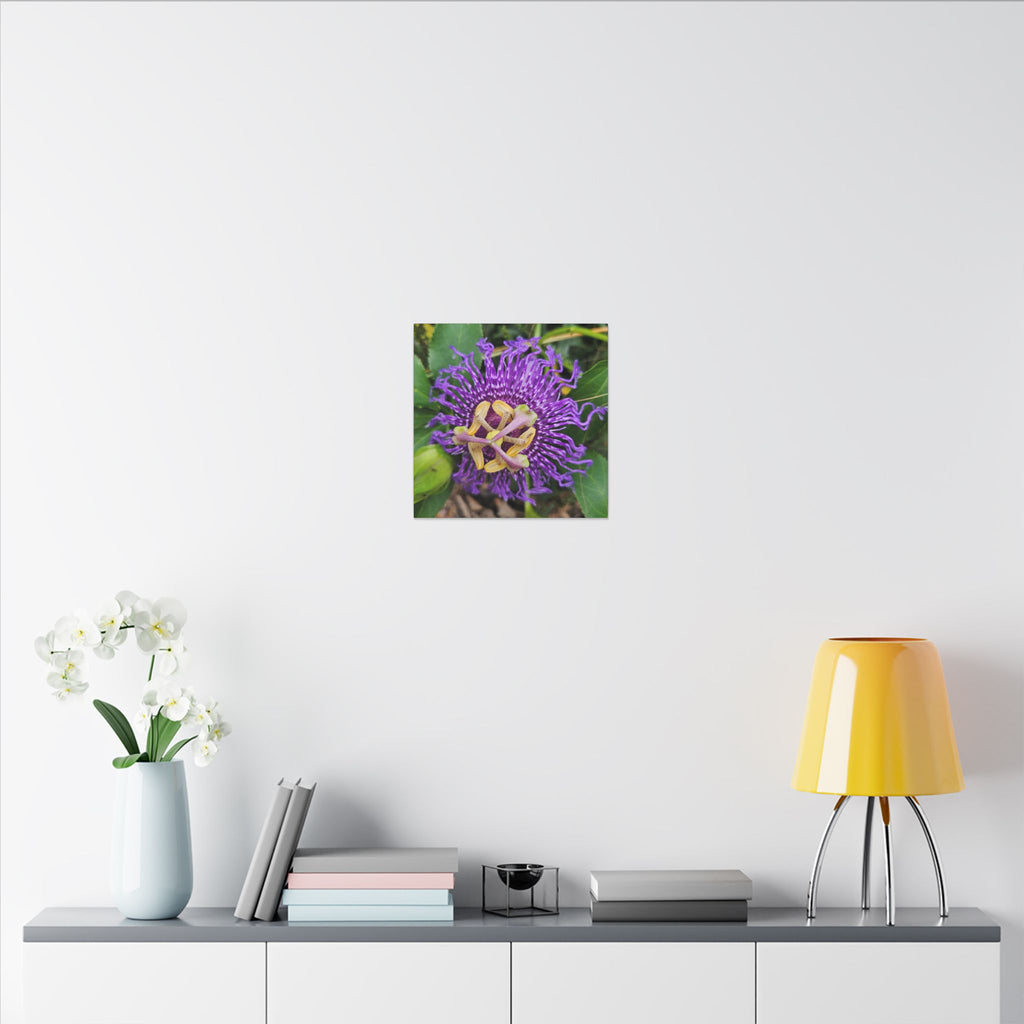 Purple Passionflower Botanical Canvas