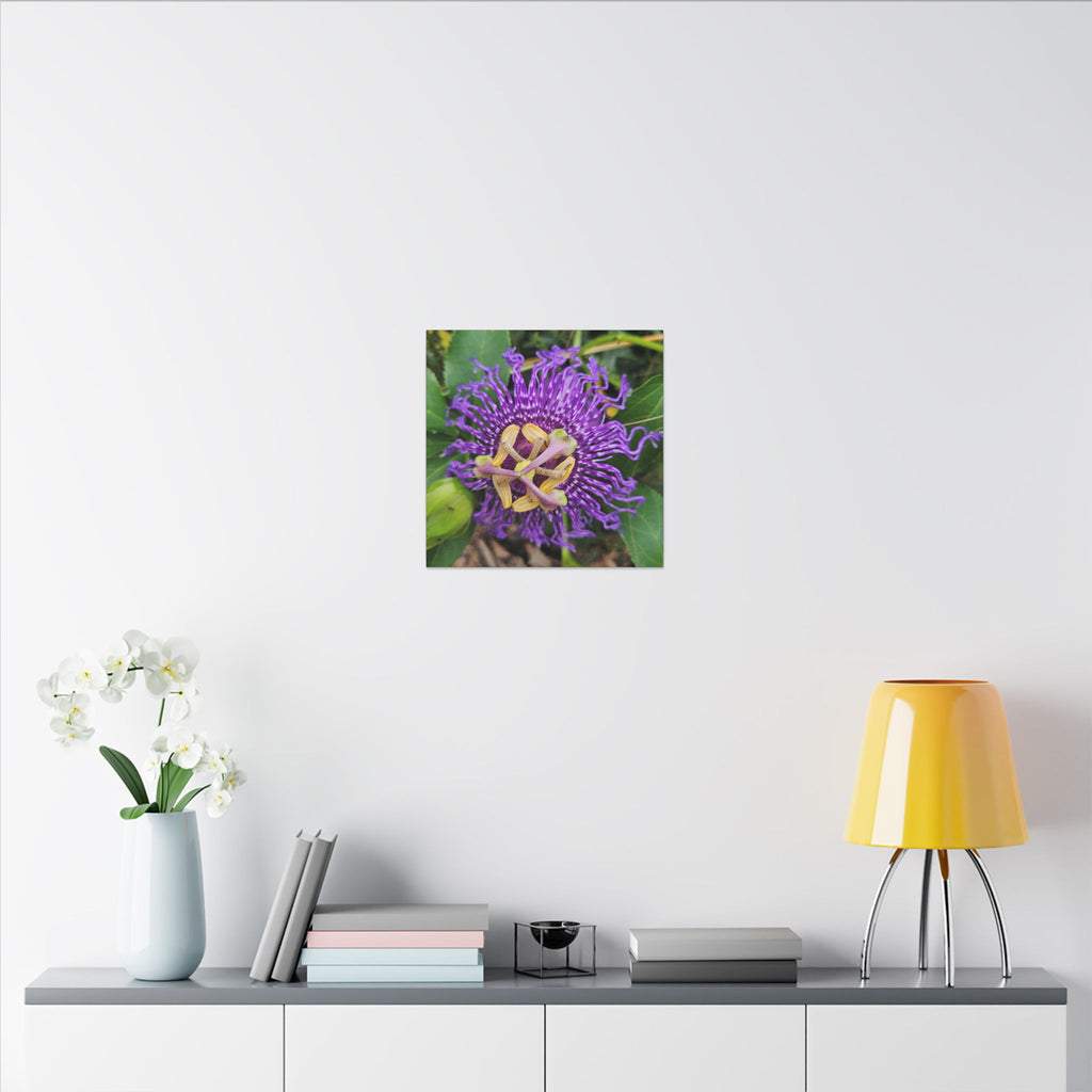 Purple Passionflower Botanical Canvas