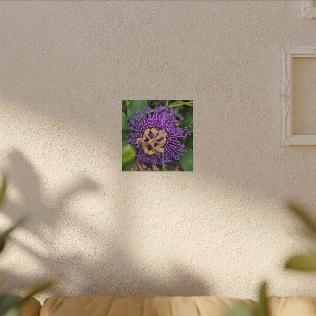 Purple Passionflower Botanical Canvas