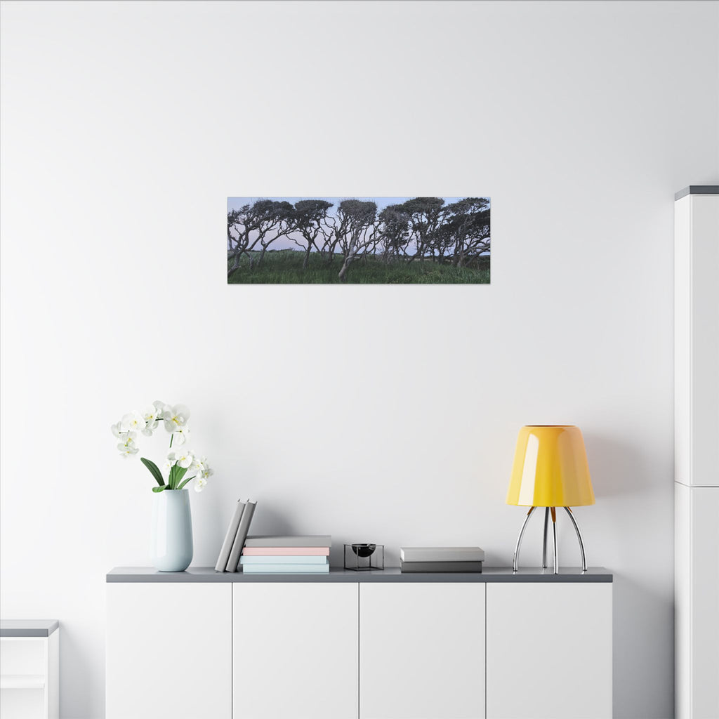Coastal Windblown Trees Canvas