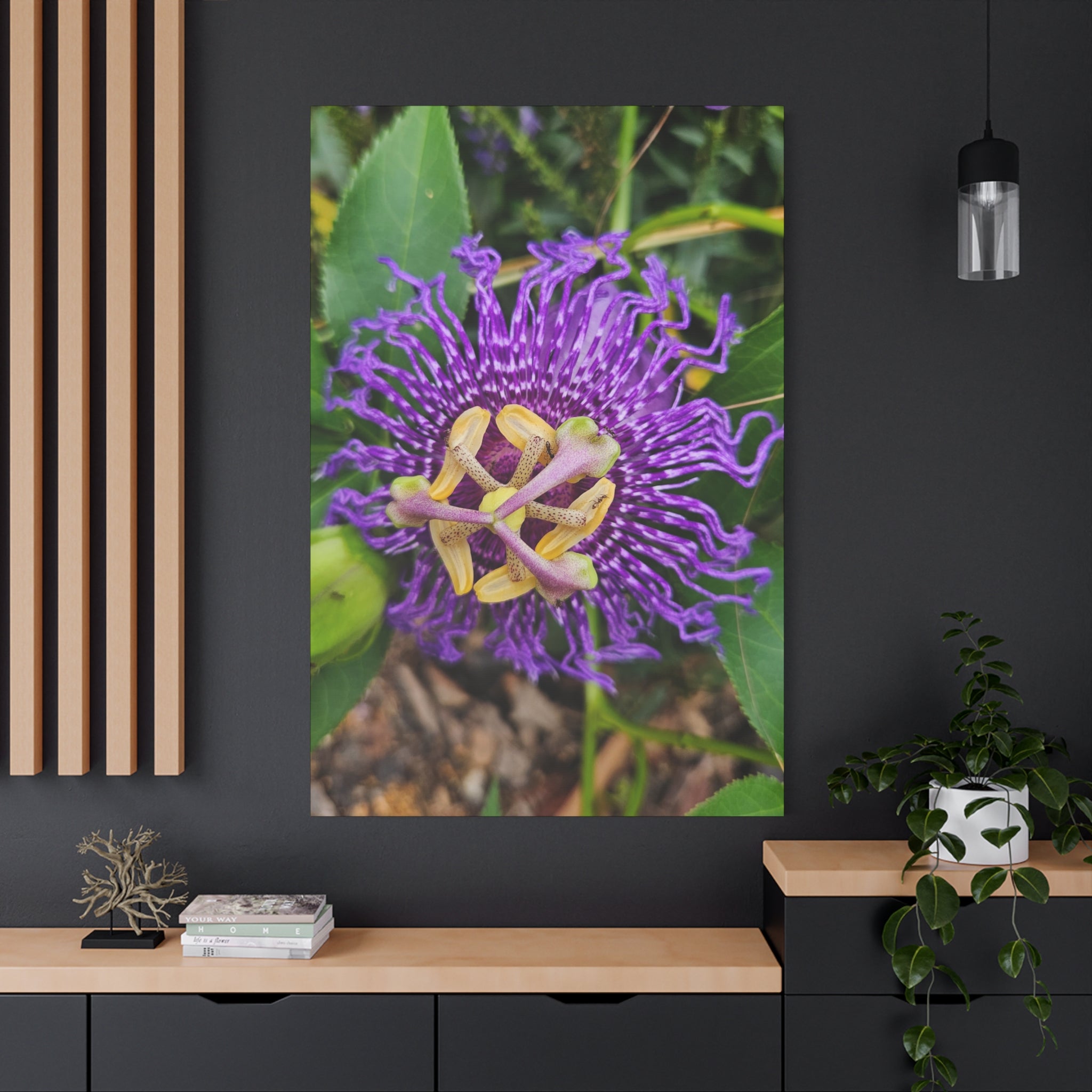 Purple Passionflower Close-Up Matte Canvas Print (Stretched)
