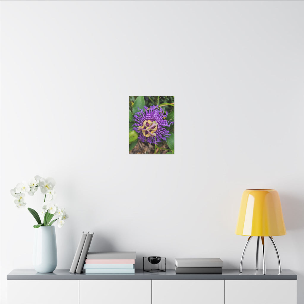 Purple Passionflower Botanical Canvas