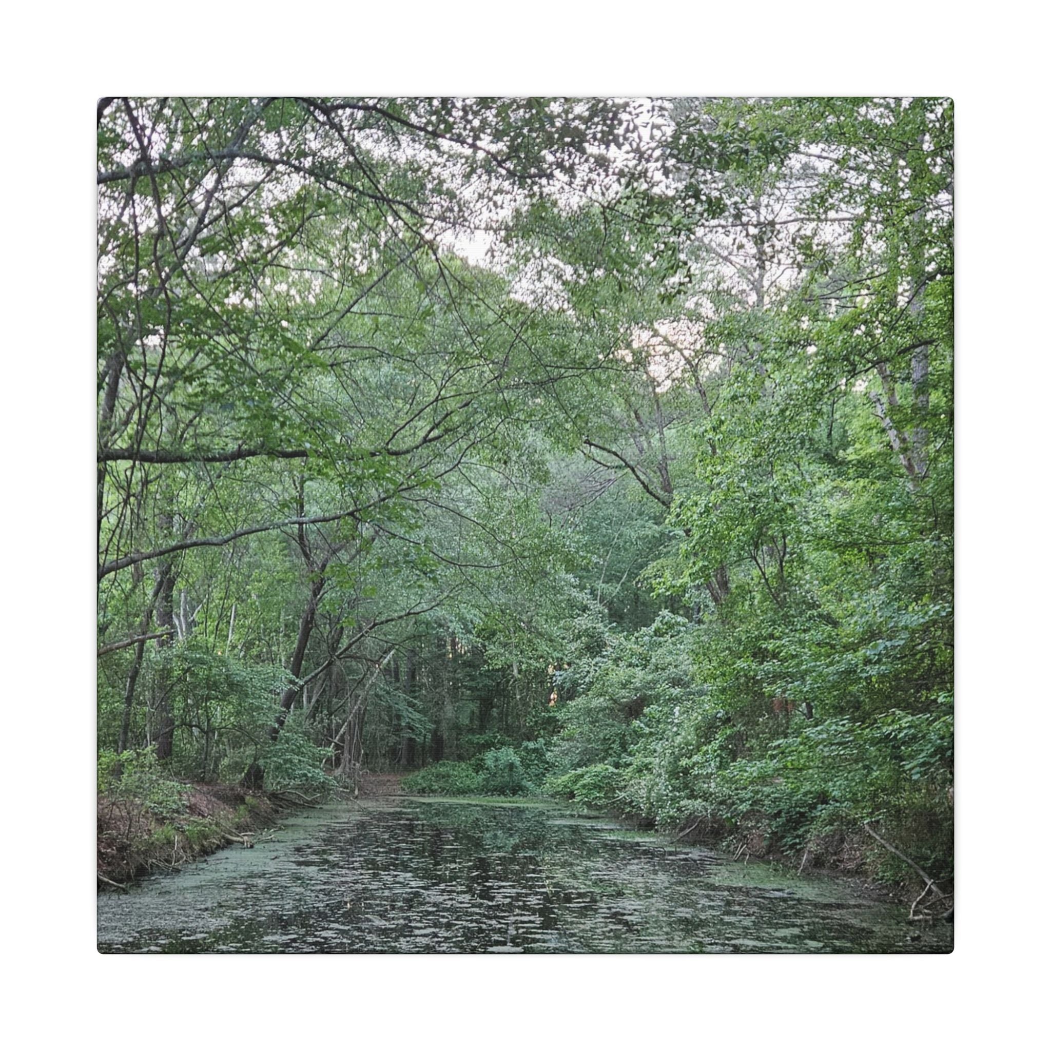 Mossy Pond Canvas Matte Stretched Wall Art