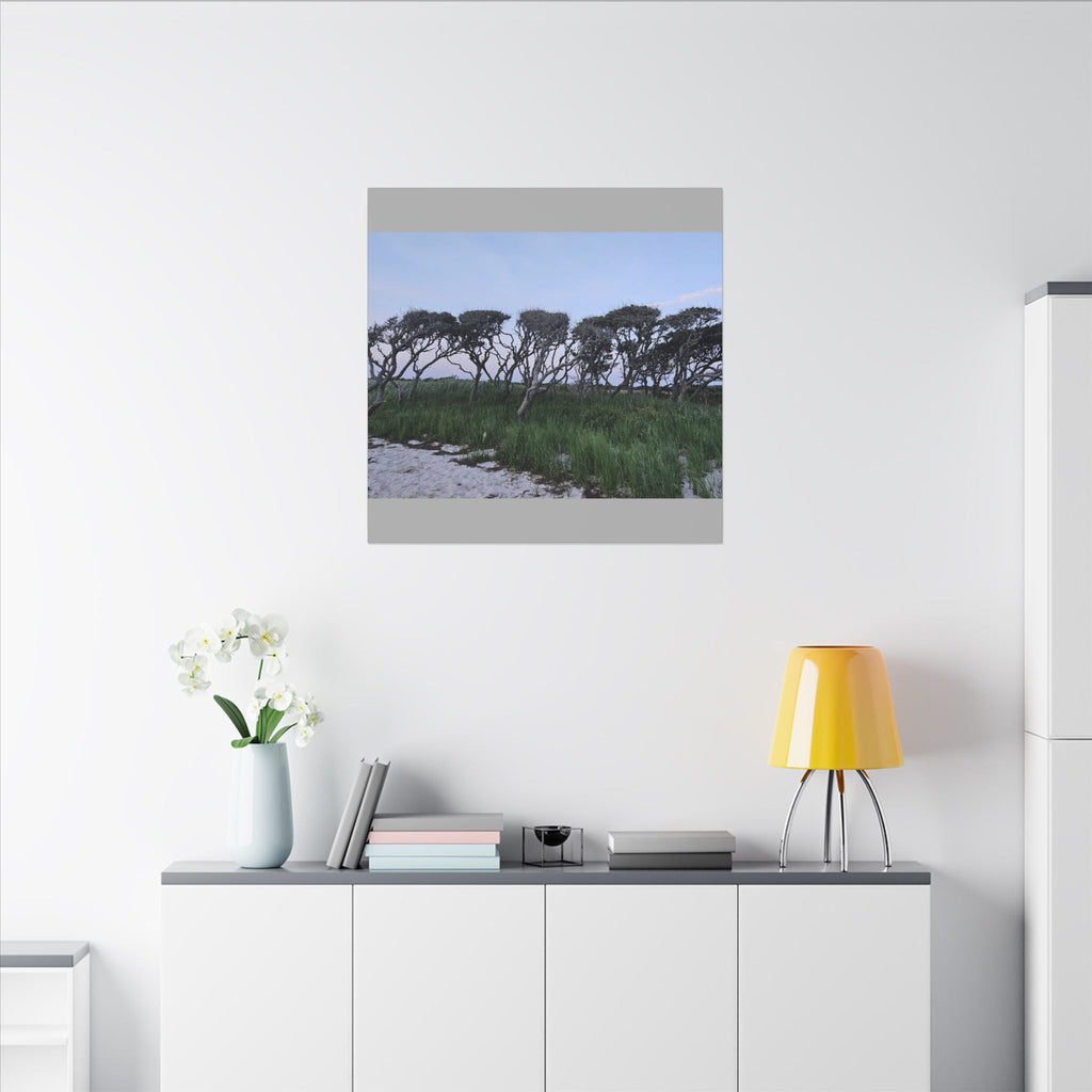 Coastal Windblown Trees Canvas