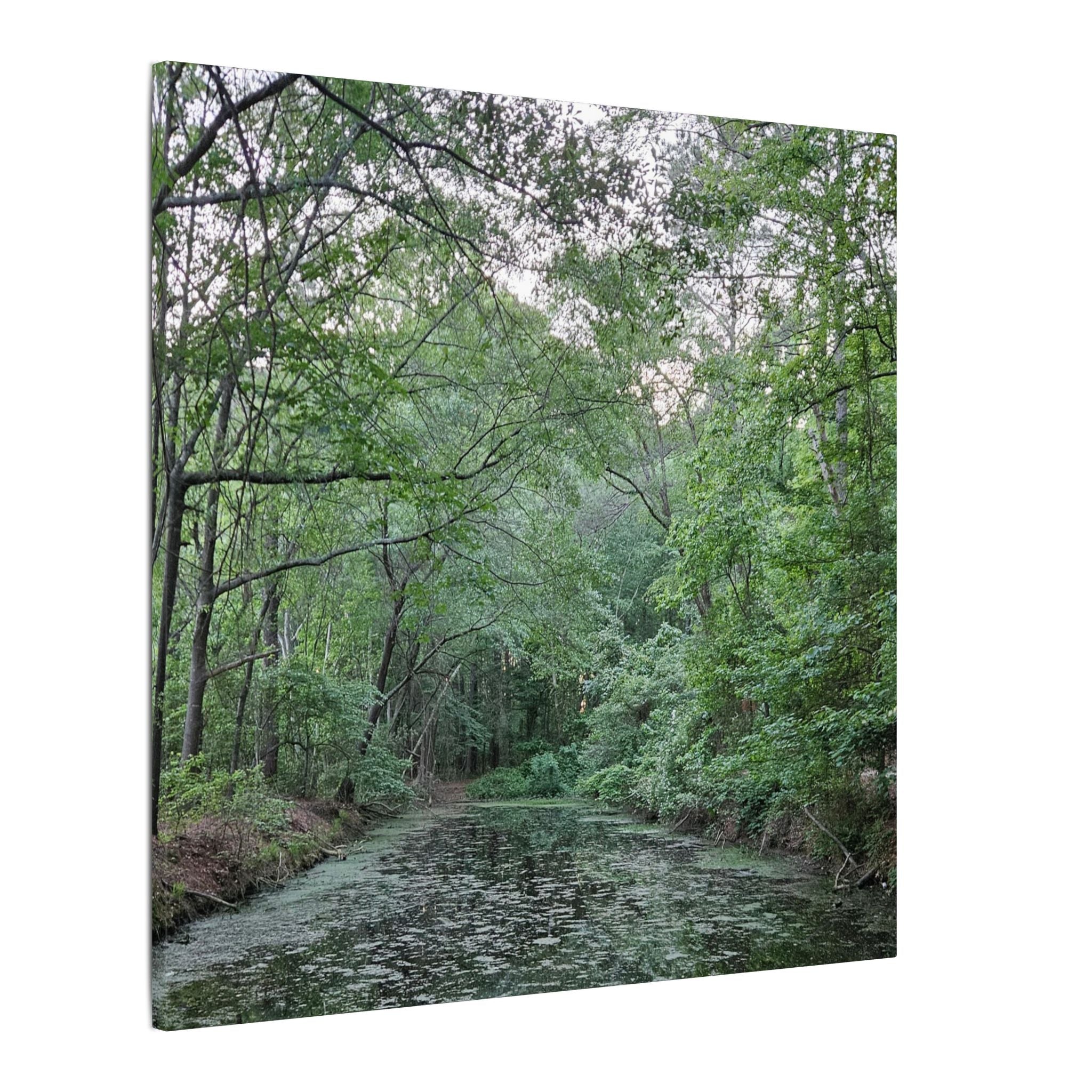 Mossy Pond Canvas Matte Stretched Wall Art
