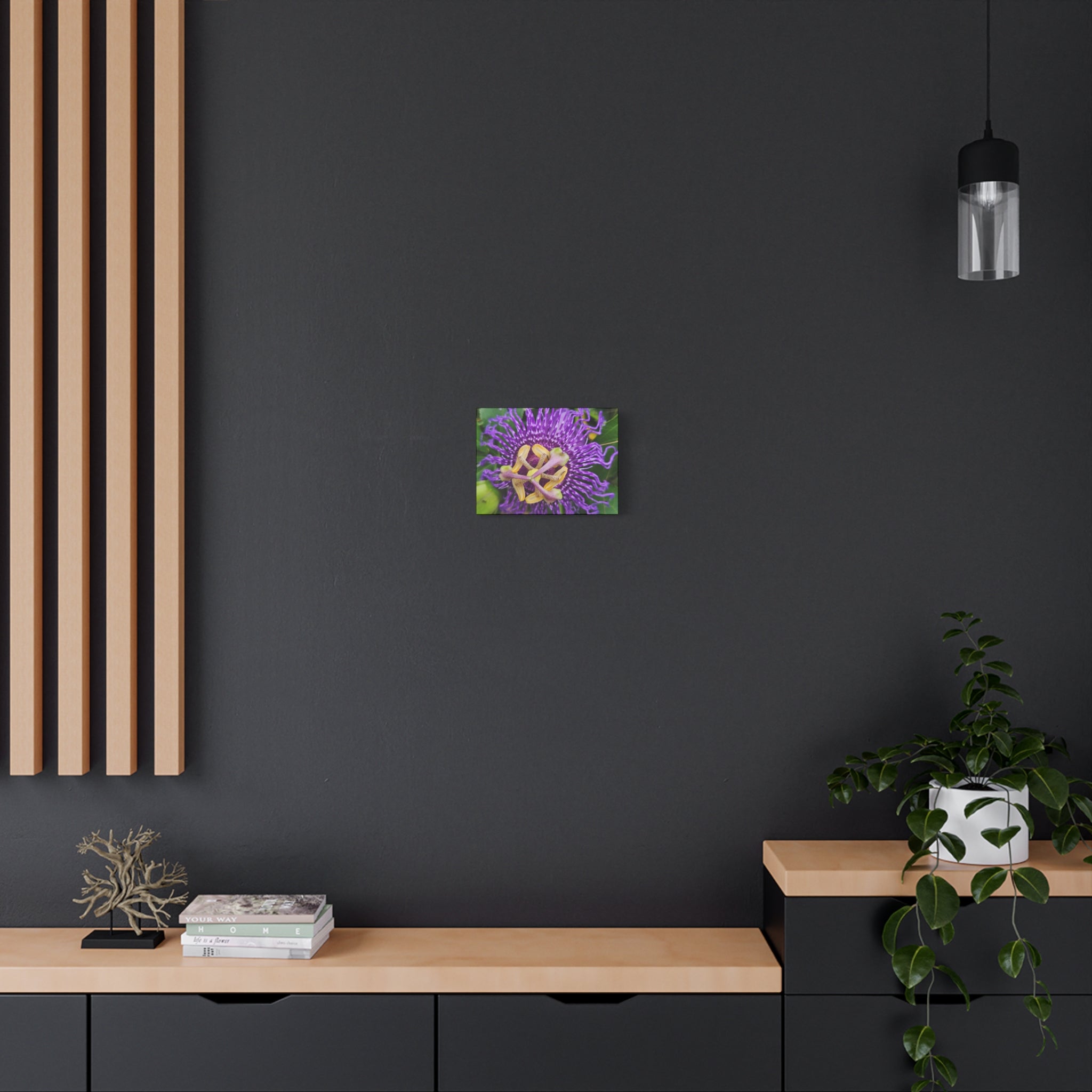 Purple Passionflower Close-Up Matte Canvas Print (Stretched)