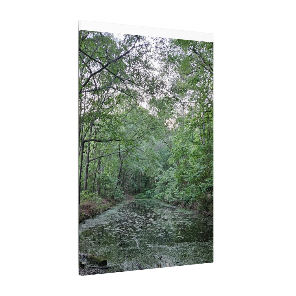Mossy Pond Canvas Matte Stretched Wall Art