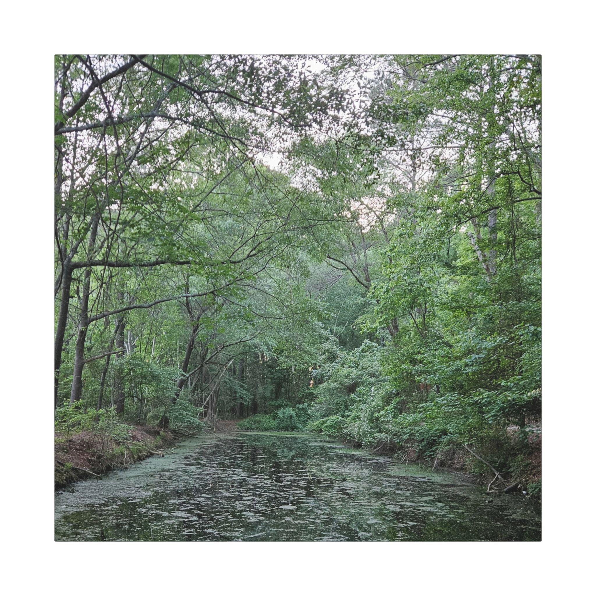 Mossy Pond Canvas Matte Stretched Wall Art