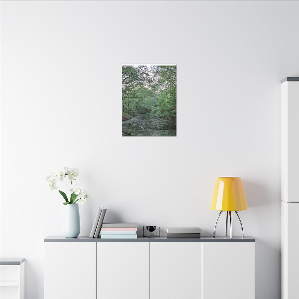 Mossy Pond Canvas Matte Stretched Wall Art