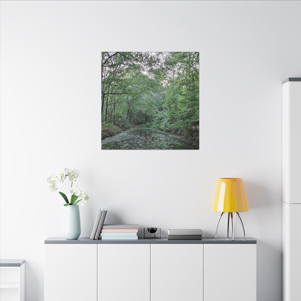 Mossy Pond Canvas Matte Stretched Wall Art
