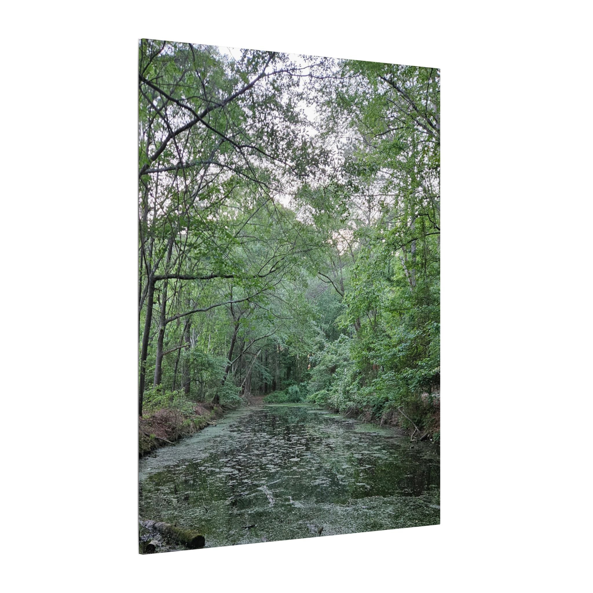 Mossy Pond Canvas Matte Stretched Wall Art
