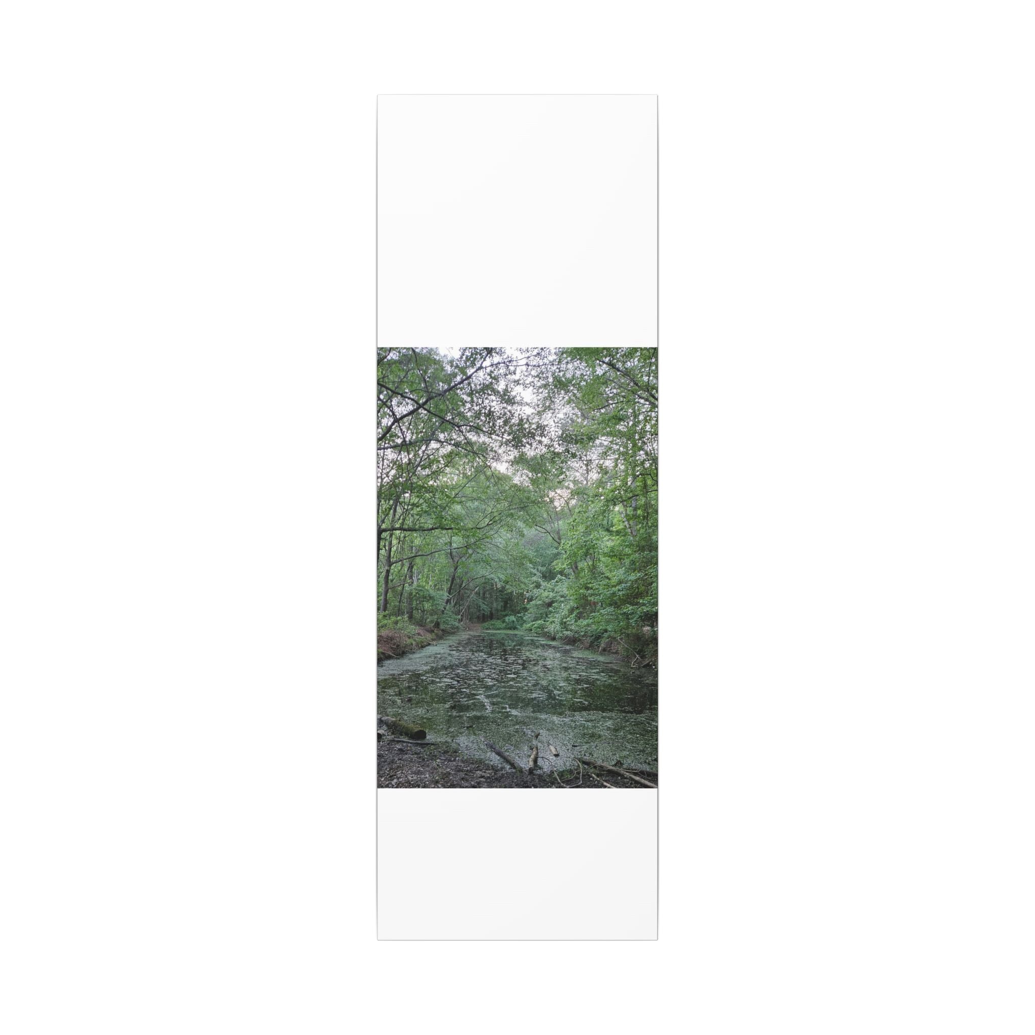 Mossy Pond Canvas Matte Stretched Wall Art
