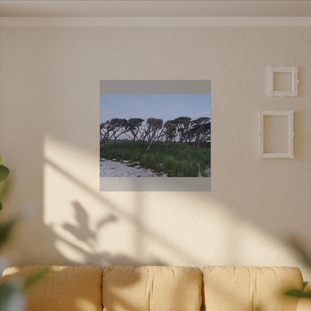 Coastal Windblown Trees Canvas