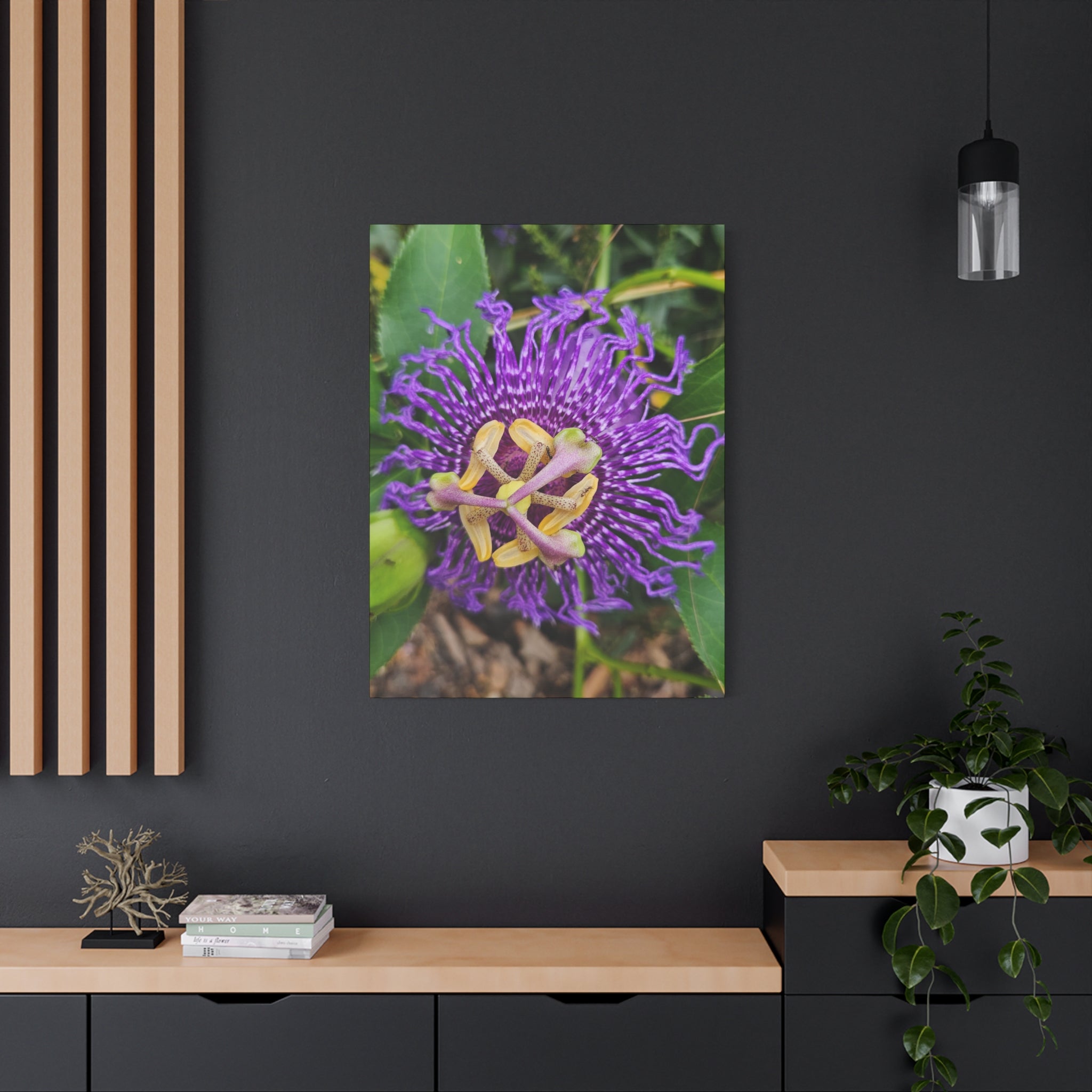 Purple Passionflower Close-Up Matte Canvas Print (Stretched)
