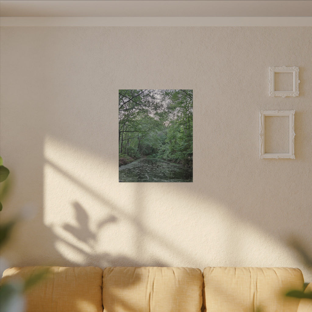 Mossy Pond Canvas Matte Stretched Wall Art