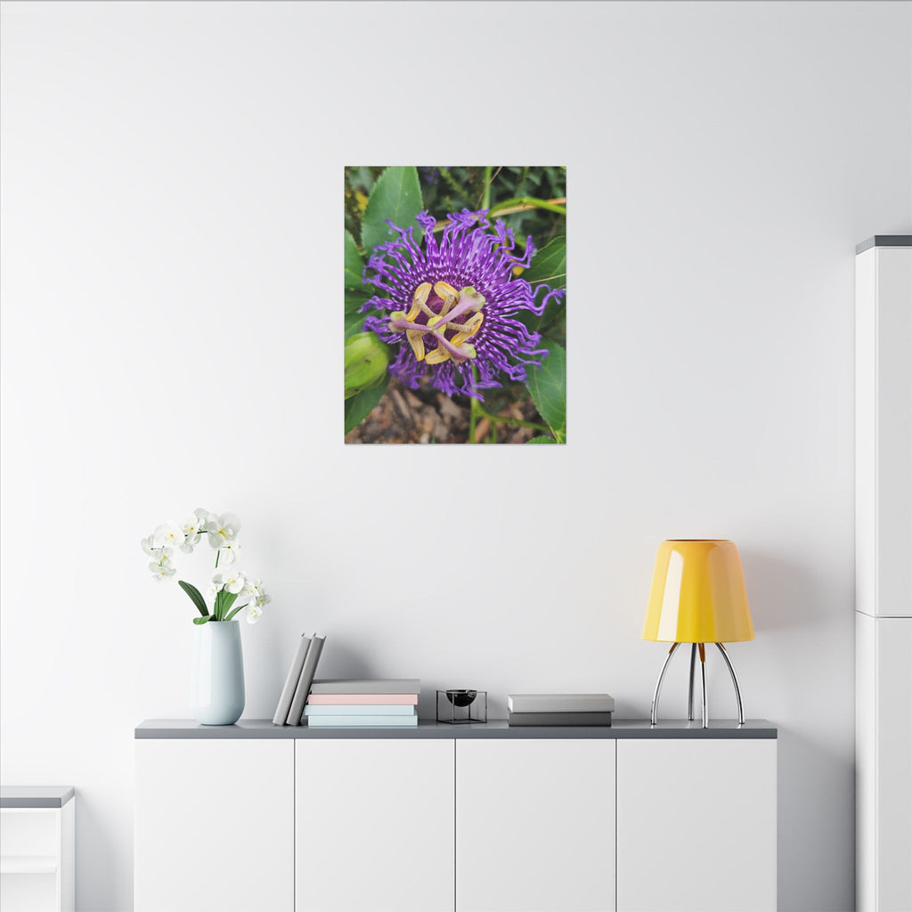 Purple Passionflower Botanical Canvas