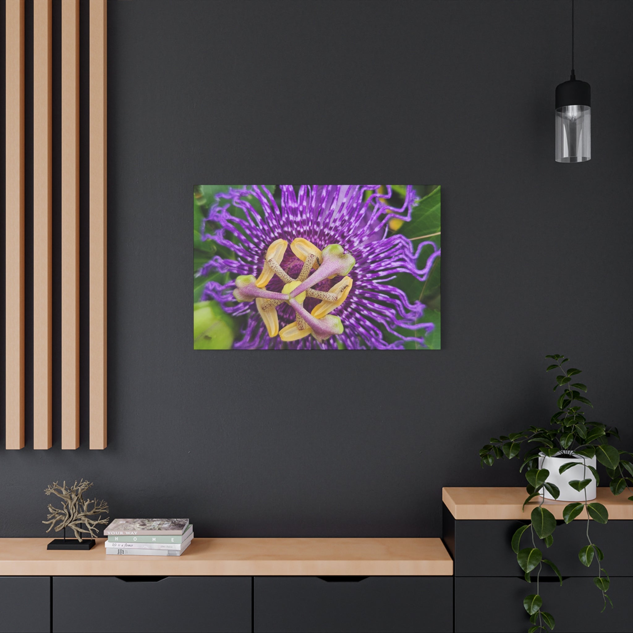 Purple Passionflower Close-Up Matte Canvas Print (Stretched)