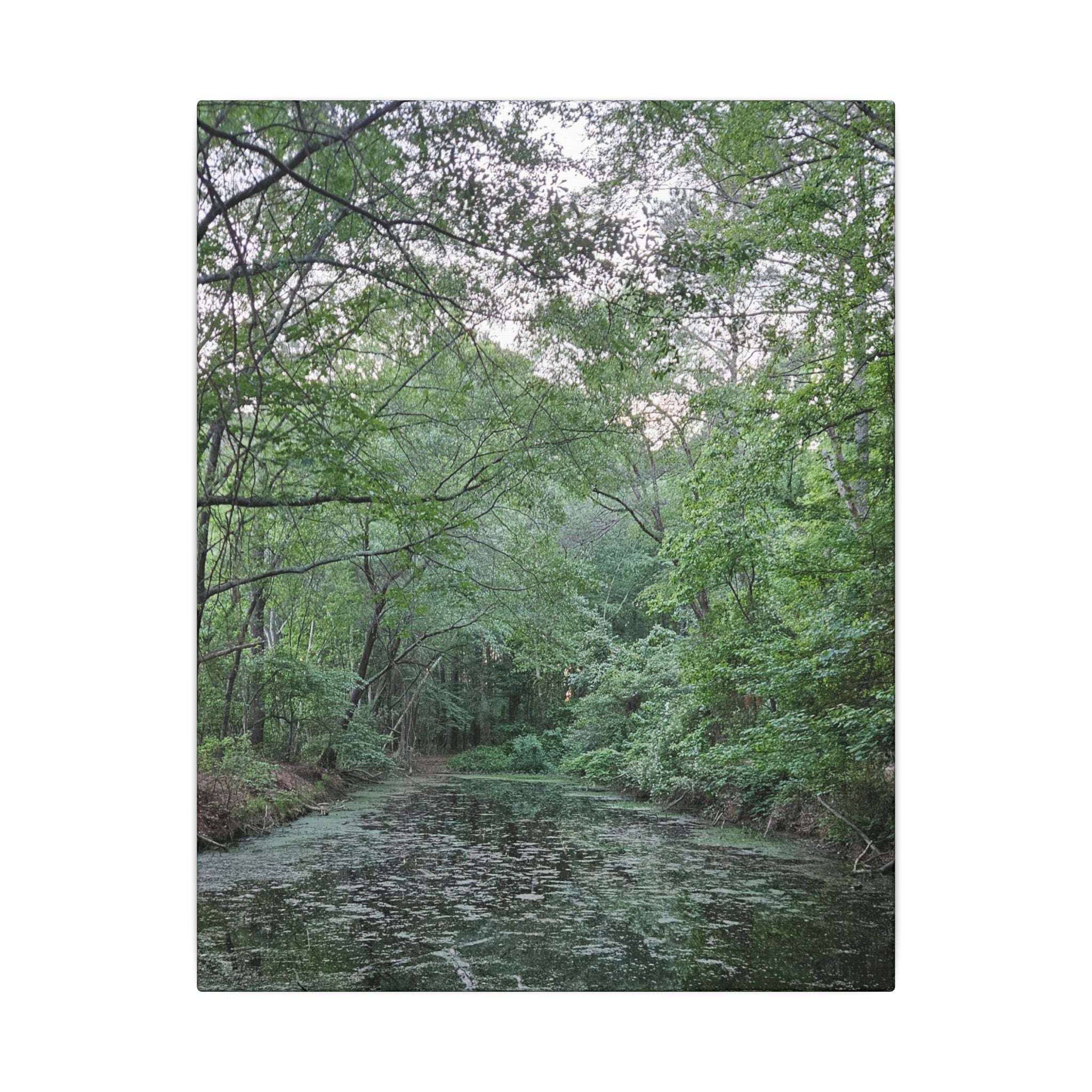 Mossy Pond Canvas Matte Stretched Wall Art