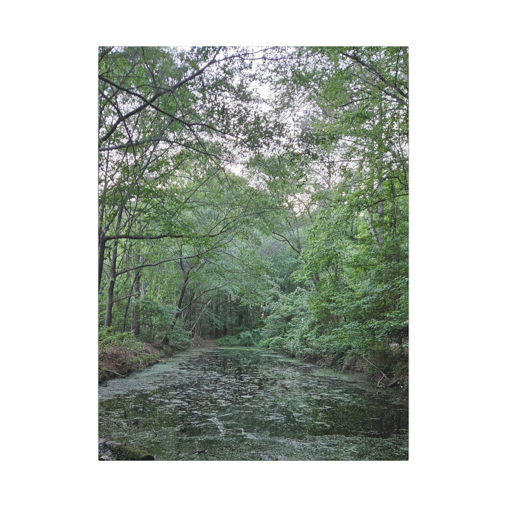 Mossy Pond Canvas Matte Stretched Wall Art