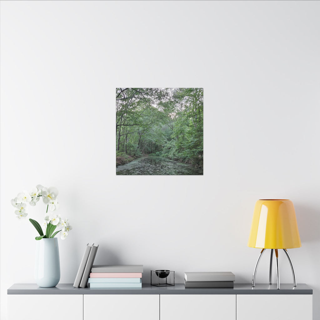 Mossy Pond Canvas Matte Stretched Wall Art