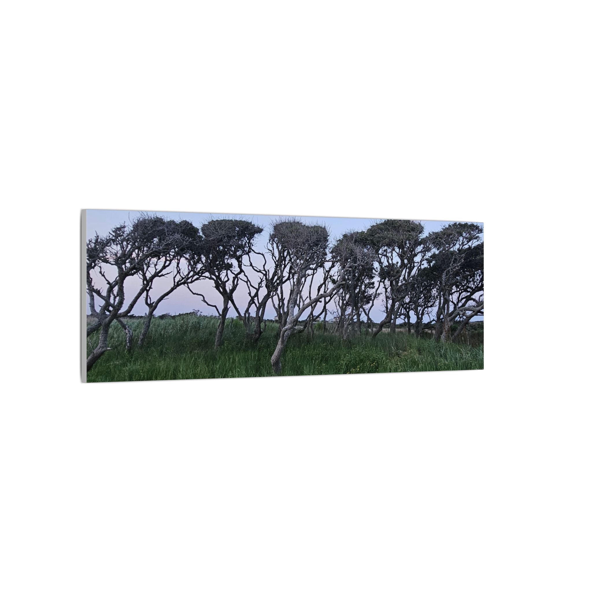 Coastal Windblown Trees Canvas