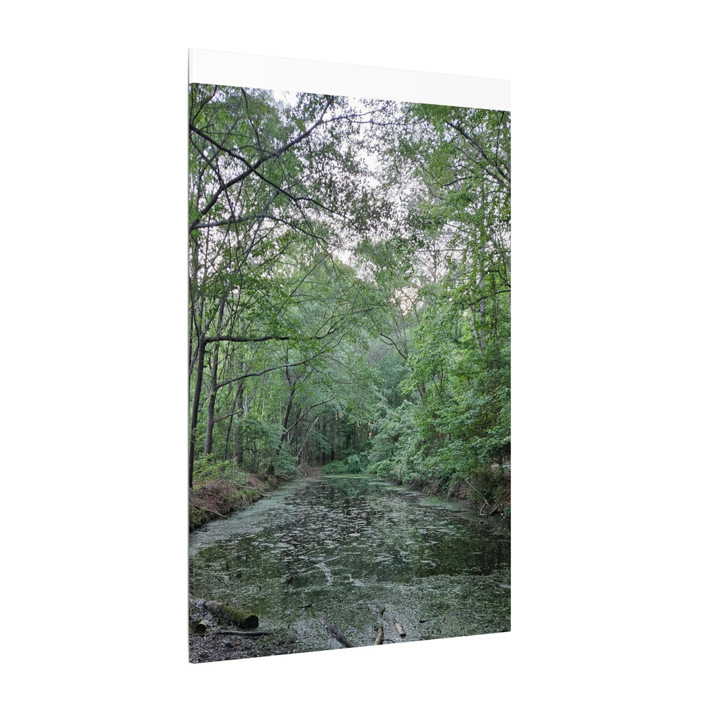 Mossy Pond Canvas Matte Stretched Wall Art