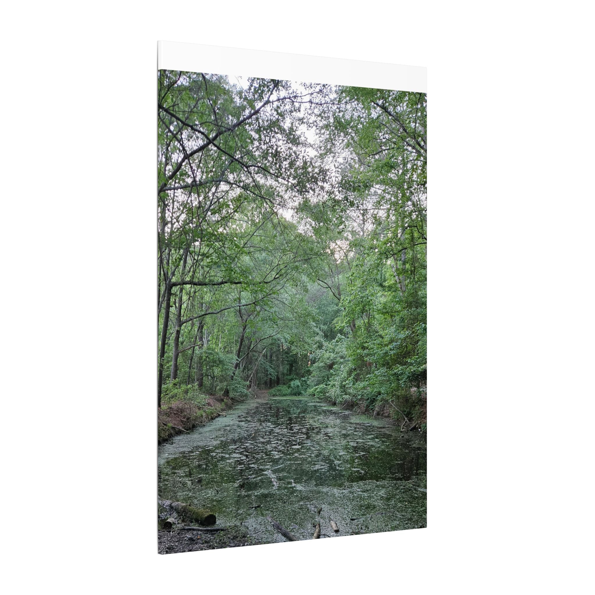 Mossy Pond Canvas Matte Stretched Wall Art