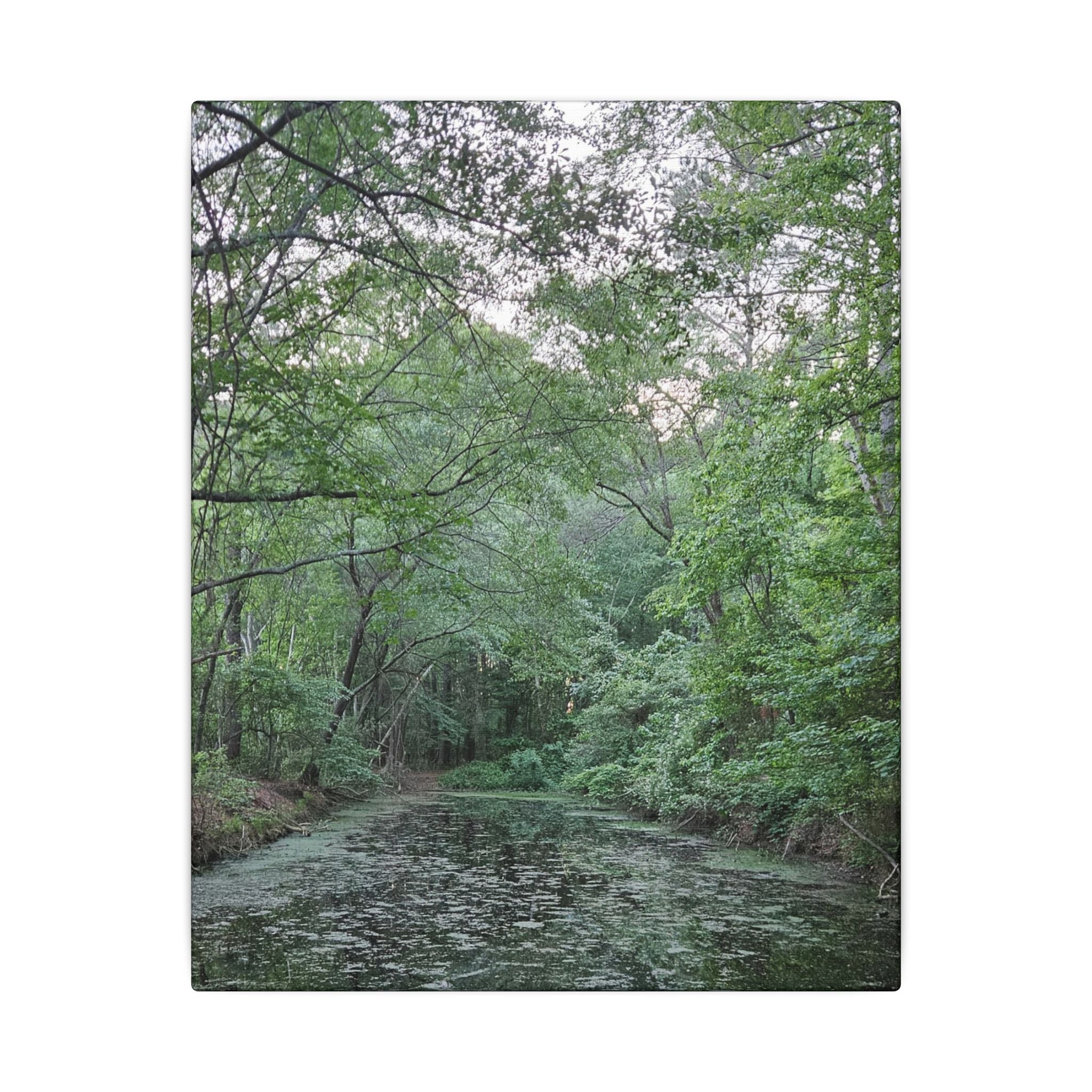Mossy Pond Canvas Matte Stretched Wall Art