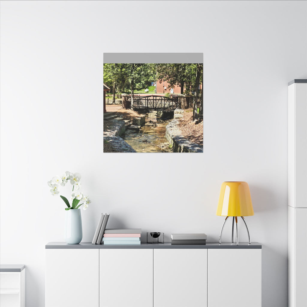 Park Footbridge Photograph Matte Canvas | Stretched Wall Art