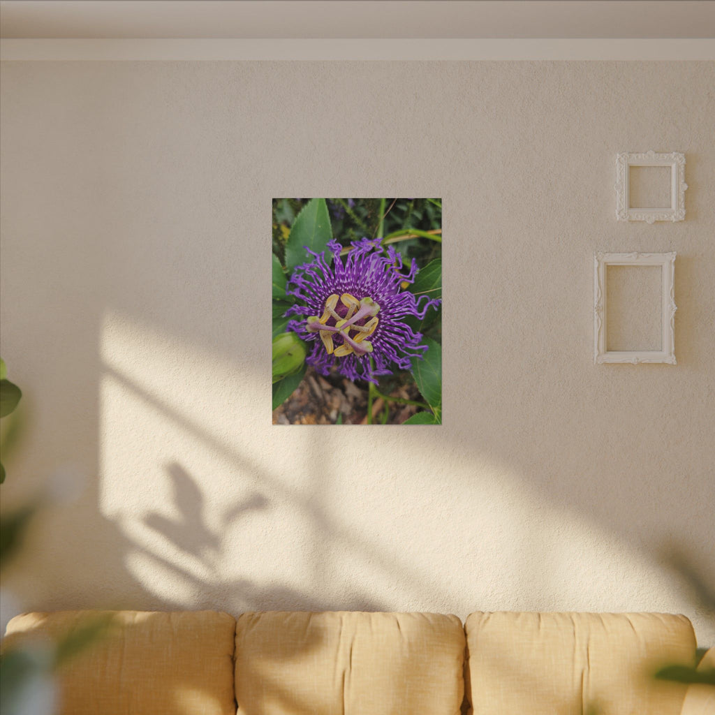 Purple Passionflower Botanical Canvas