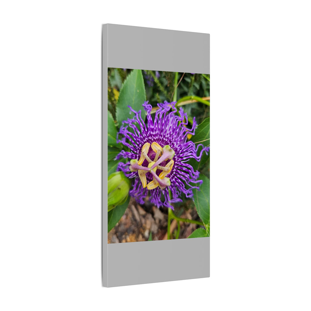 Purple Passionflower Botanical Canvas