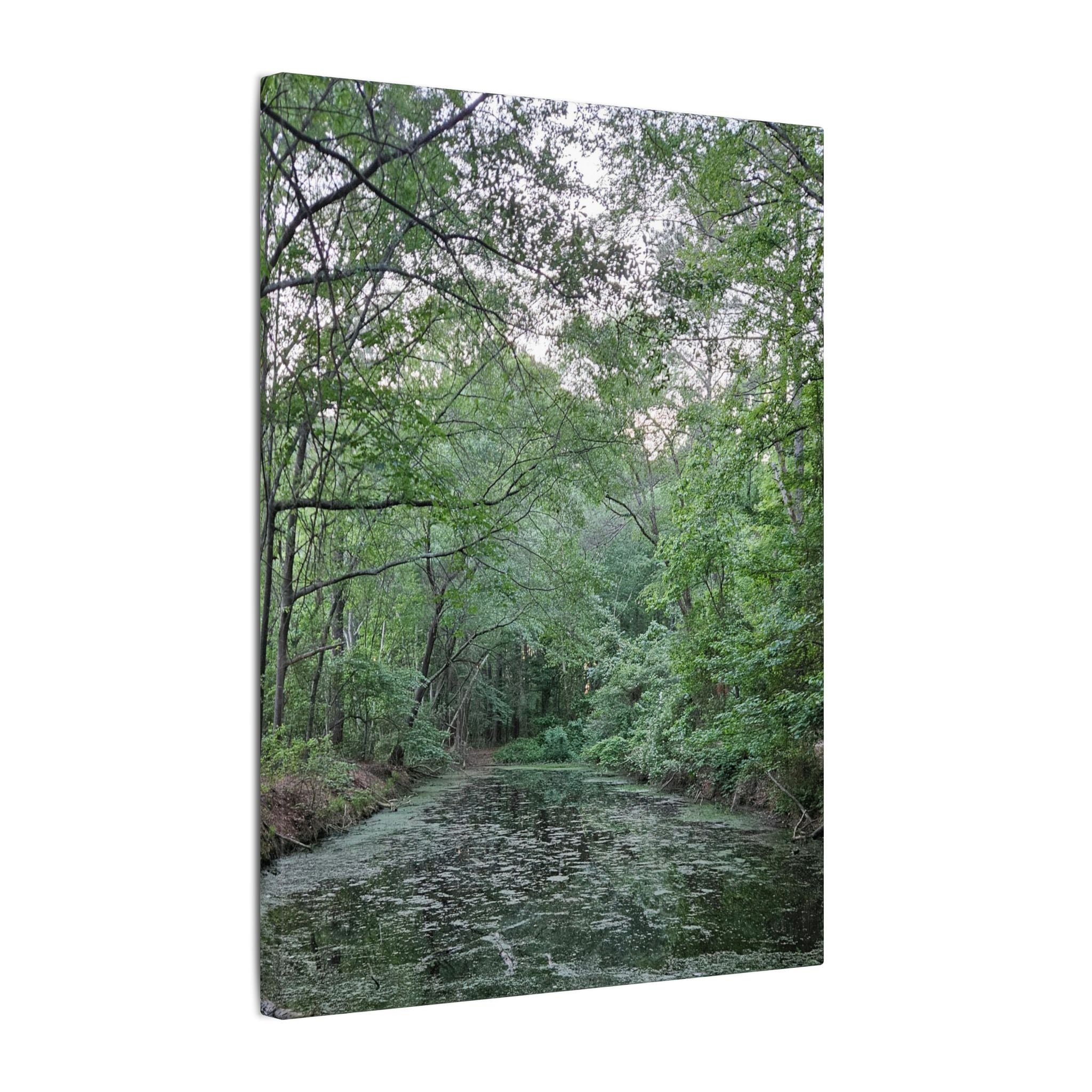 Mossy Pond Canvas Matte Stretched Wall Art