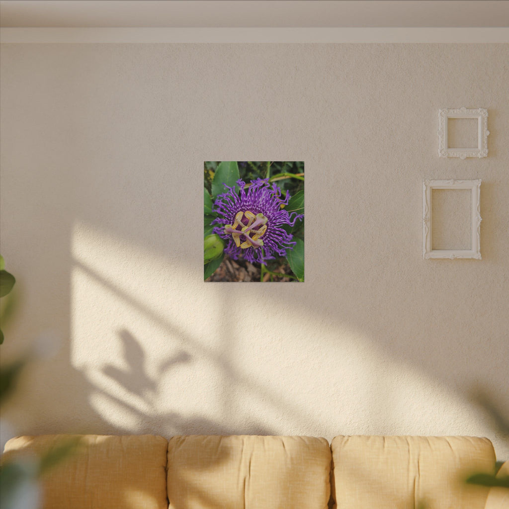 Purple Passionflower Botanical Canvas