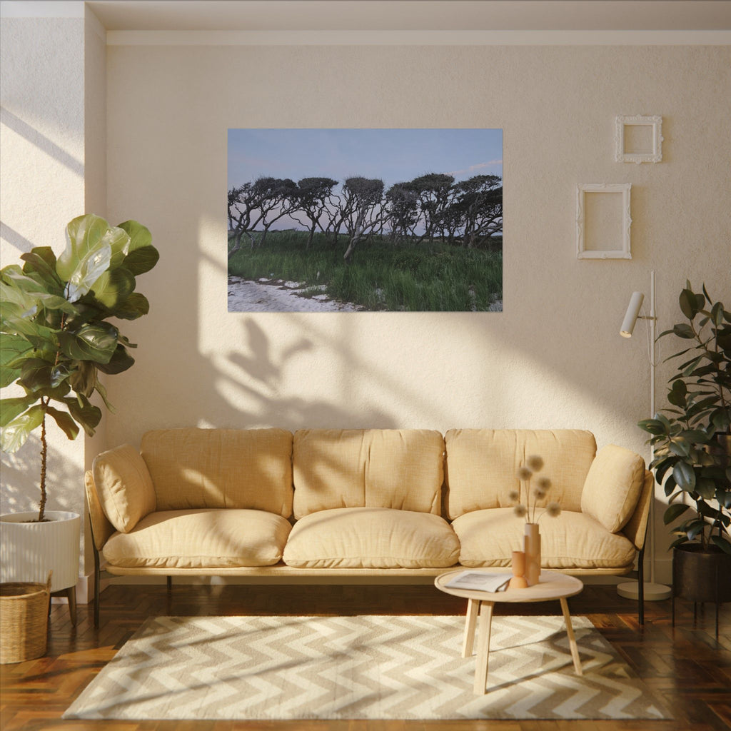 Coastal Windblown Trees Canvas