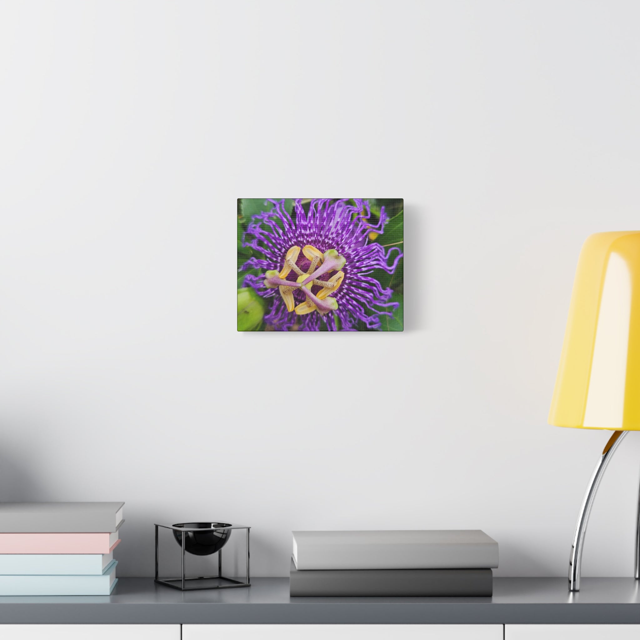Purple Passionflower Close-Up Matte Canvas Print (Stretched)