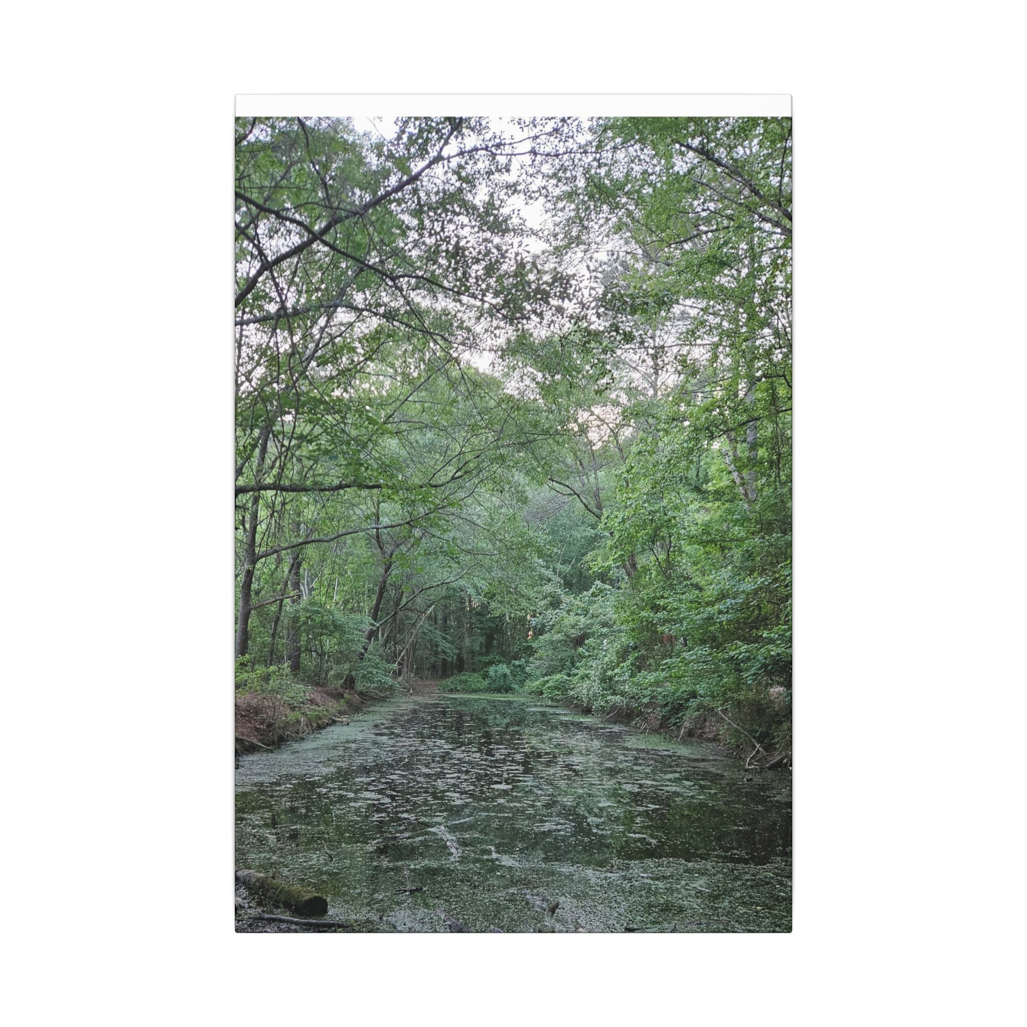 Mossy Pond Canvas Matte Stretched Wall Art