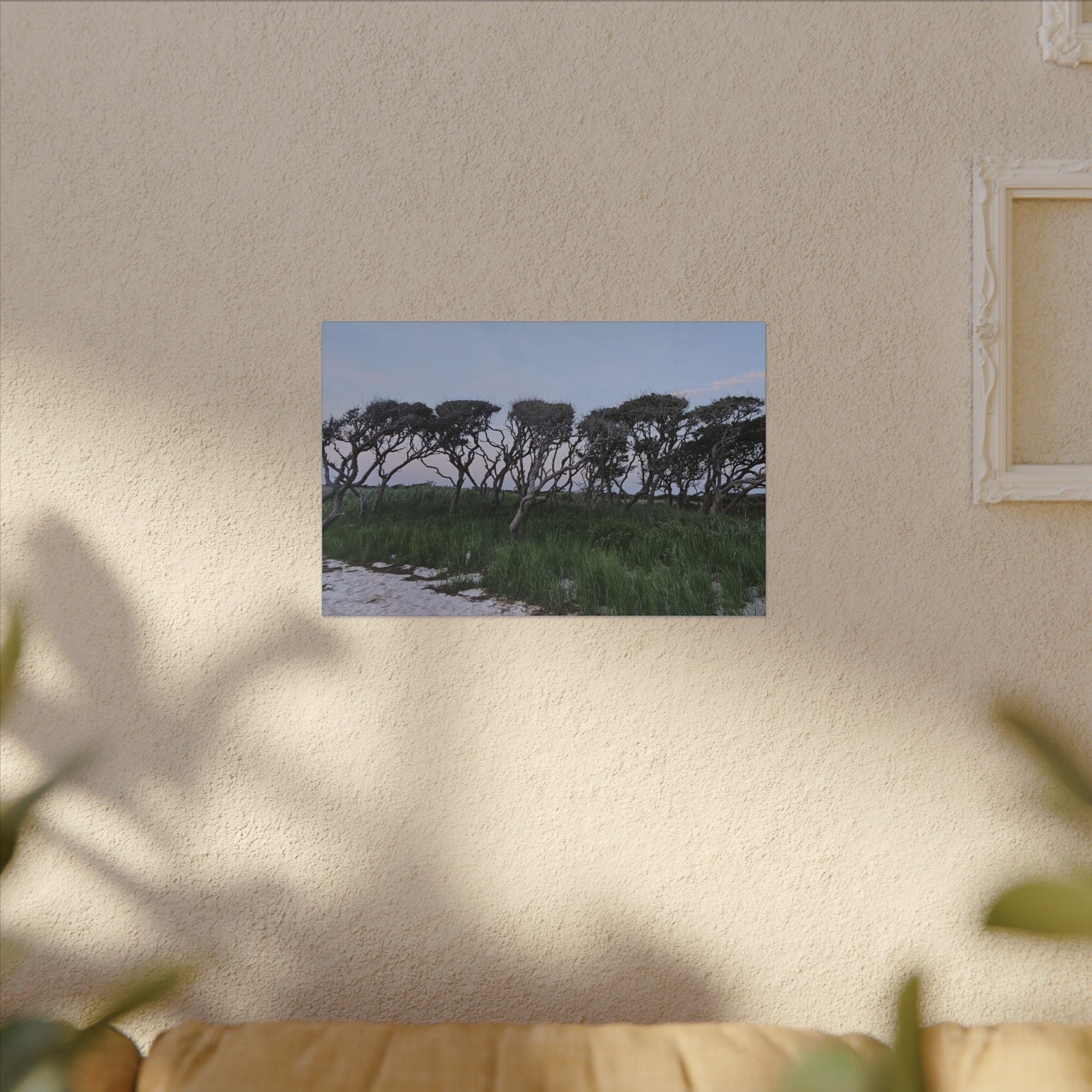 Coastal Windblown Trees Canvas