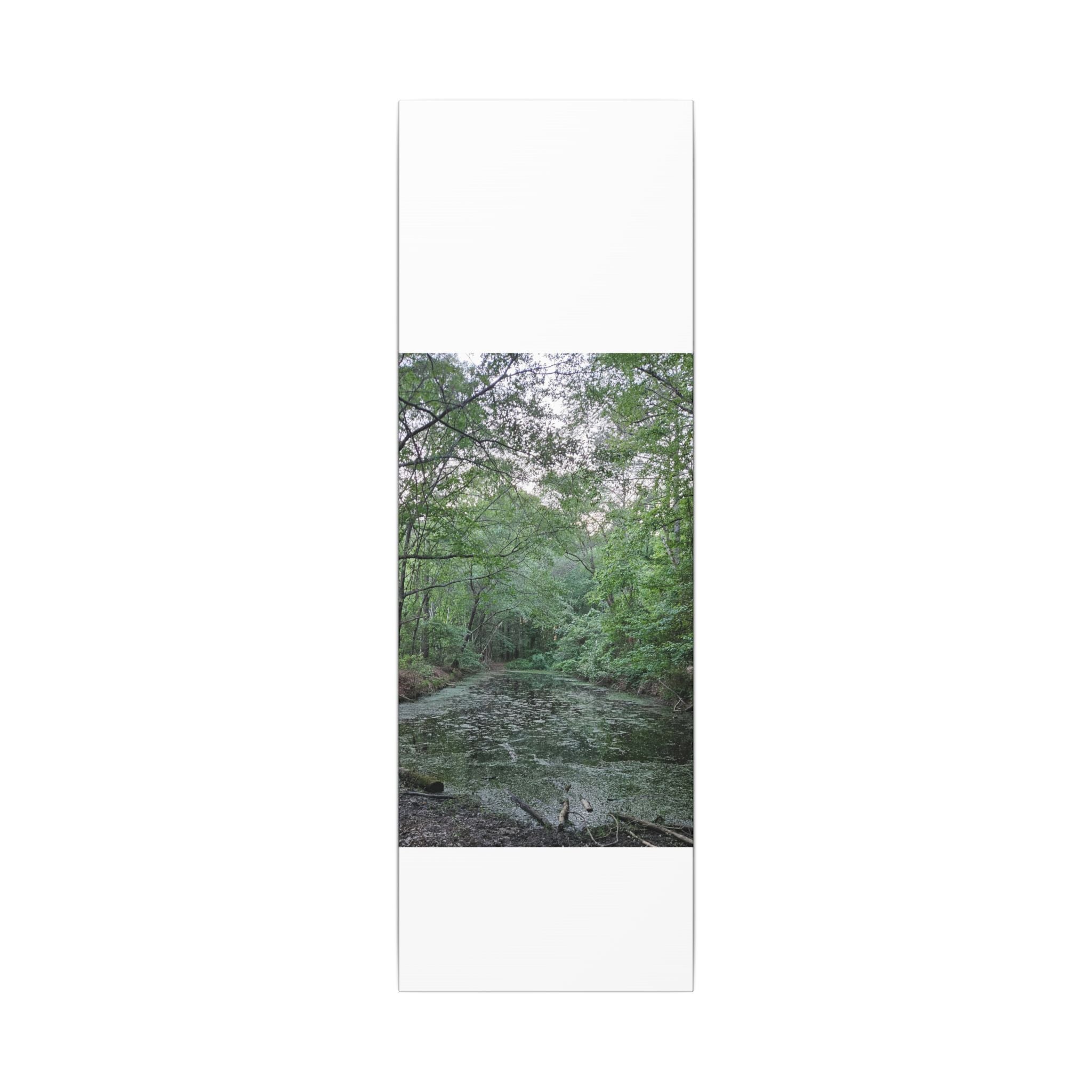 Mossy Pond Canvas Matte Stretched Wall Art